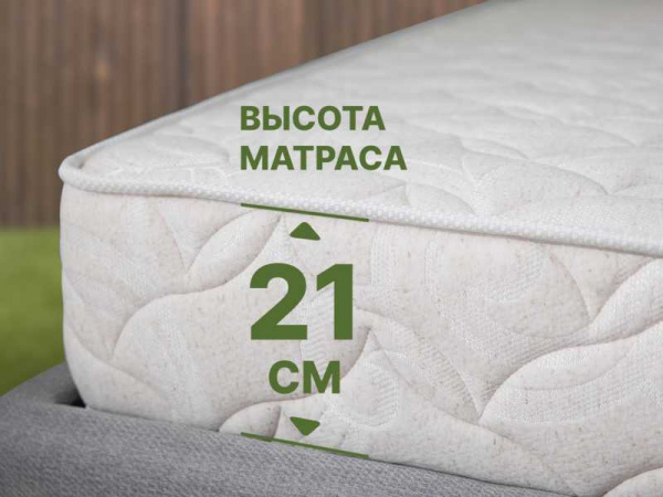 Матрас Dimax Элемент Софт дабл