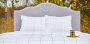 Комплект постельного белья Mr. Mattress Pinacolada (Пинаколада)