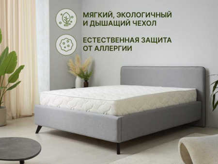 Матрас Dimax Элемент Софт дабл